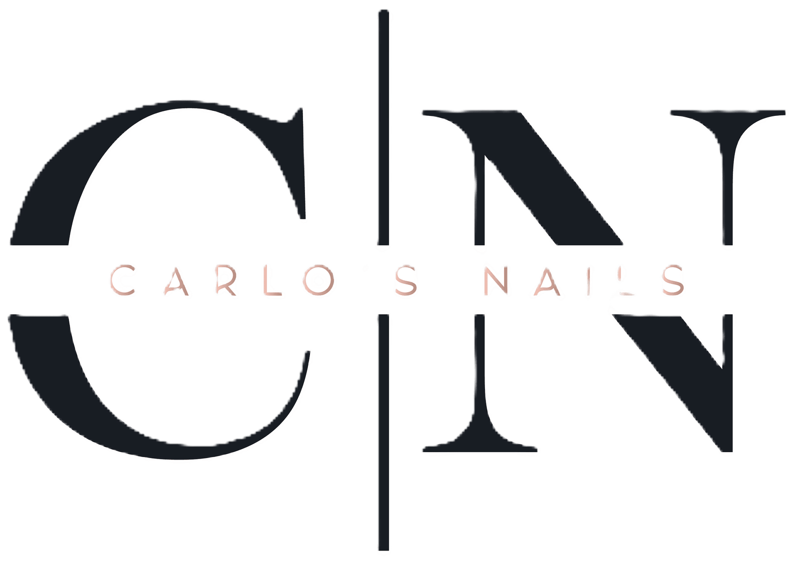 Logo Carlos — cliente de Teotech