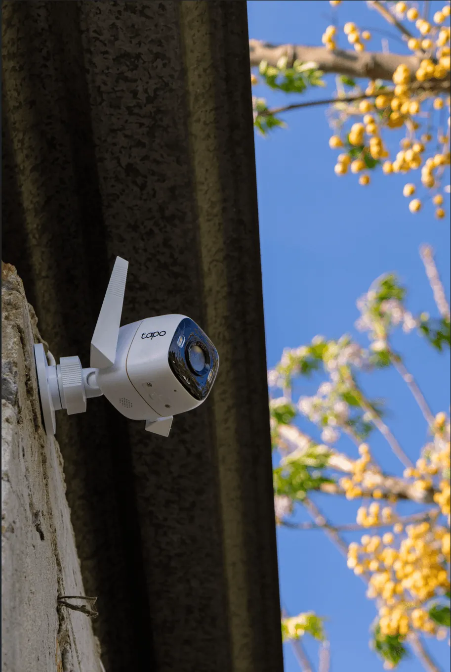 Casa Nahuali — proyecto