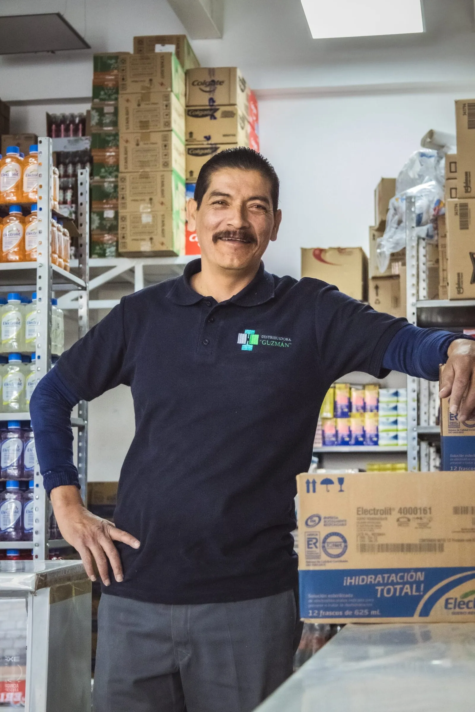 Distribuidora Guzmán — proyecto