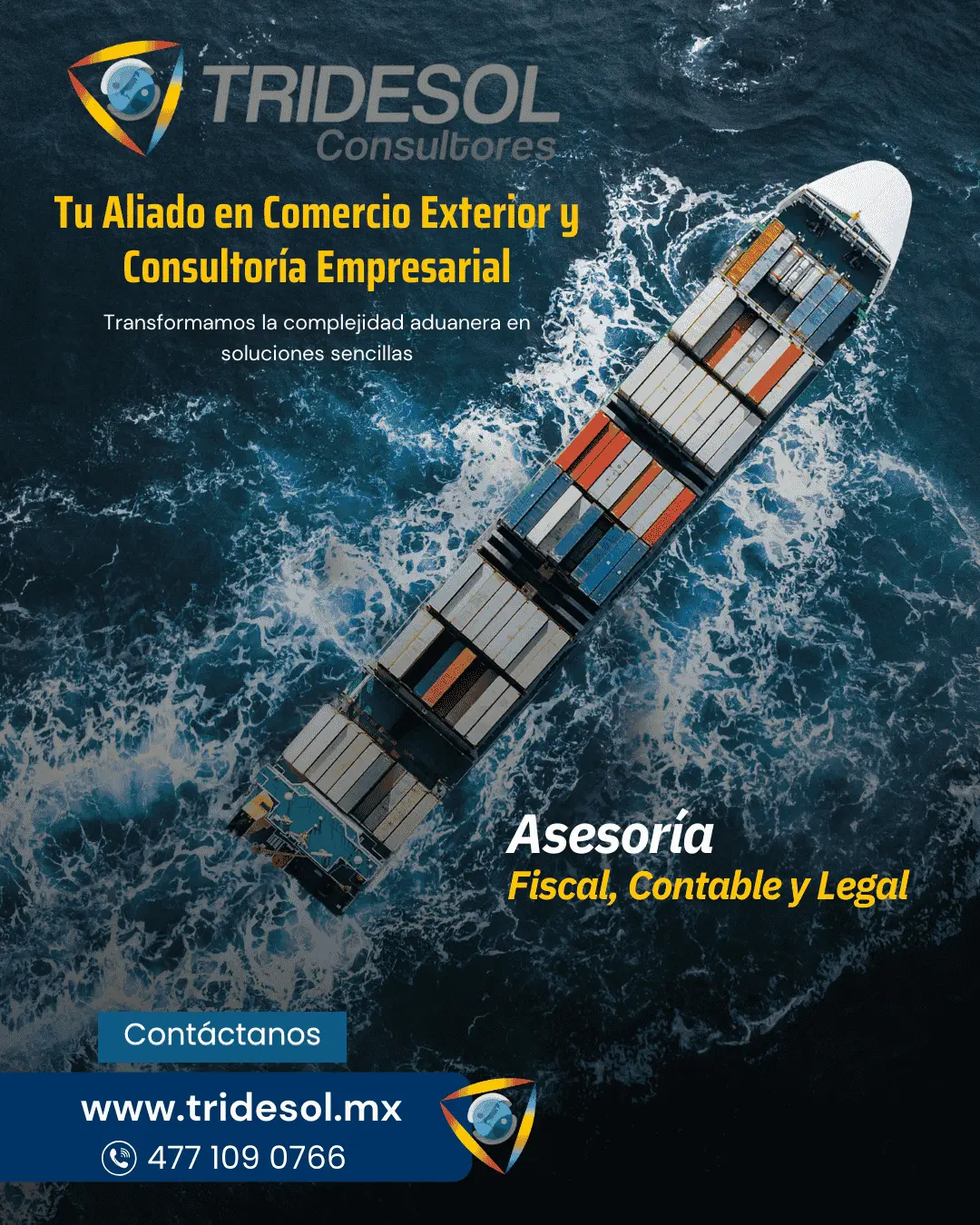 Presencia digital profesional
