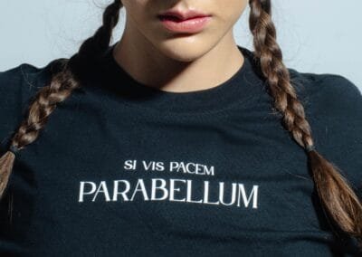 Pagina web Ecommerce – Parabellum