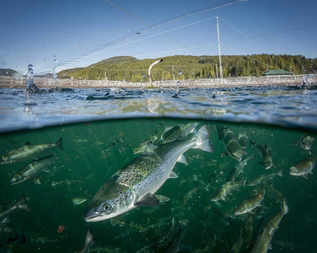 Tecnología para mares sustentables – IXTUS