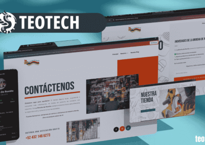 Un legado  – La Brocha de Romita